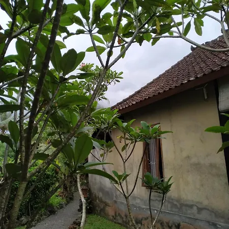 The Bukit Artha