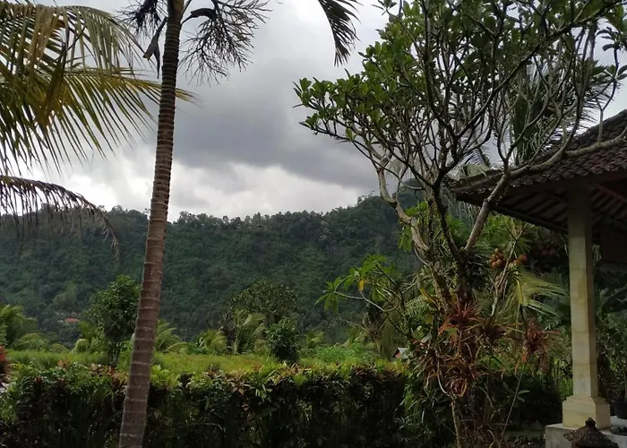 Bed & Breakfast The Bukit Artha Sidemen (Bali)